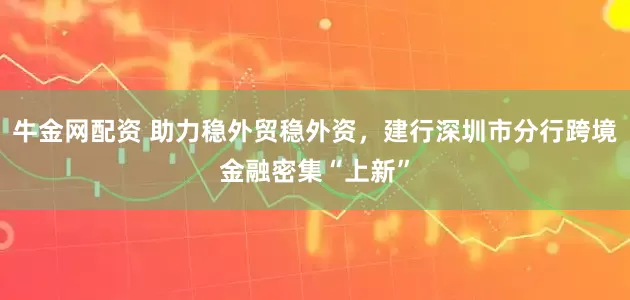 牛金网配资 助力稳外贸稳外资，建行深圳市分行跨境金融密集“上新”